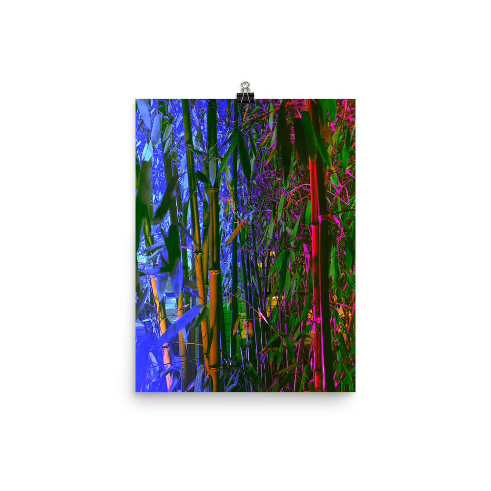 Poster - Renewed Vitality