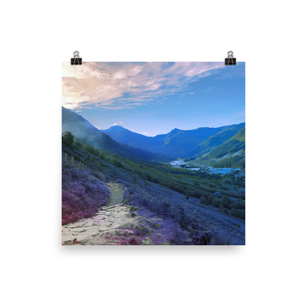 Poster - The Land Turned Blue