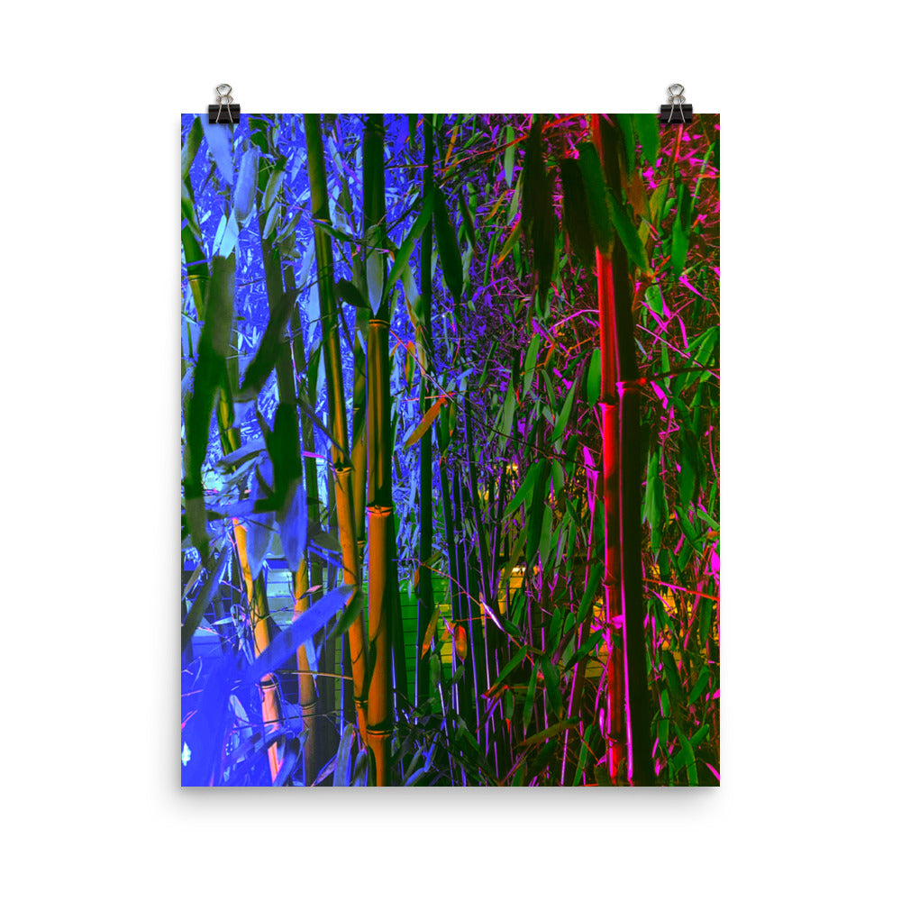 Poster - Renewed Vitality