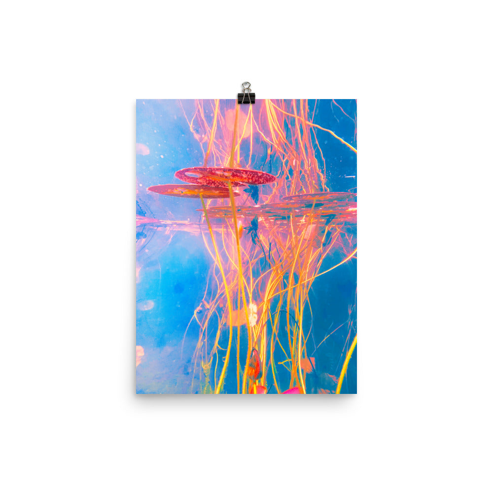 Poster - Ecosystematic
