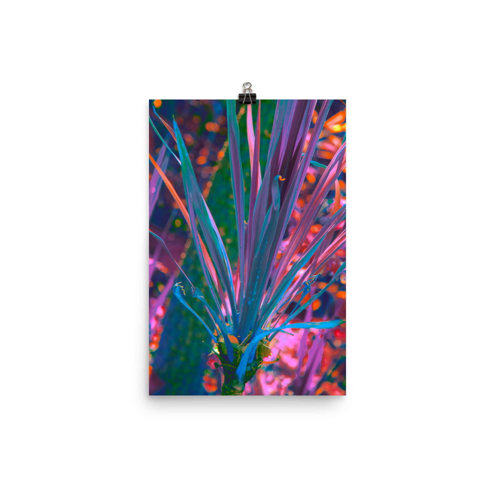 Poster - Prismatic Meteor
