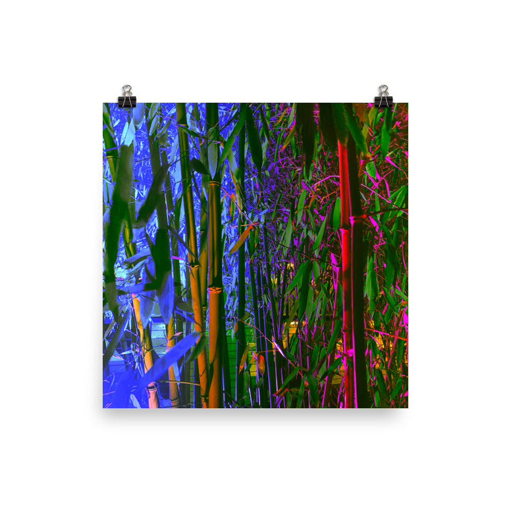 Poster - Renewed Vitality