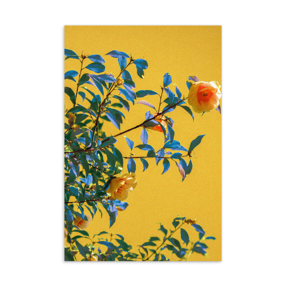 Standard Postcard - Fabric