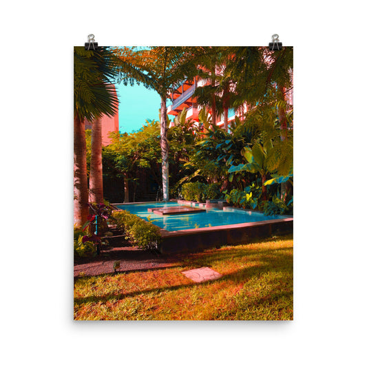 Tropical jungle garden photography poster print by Nathan Head.